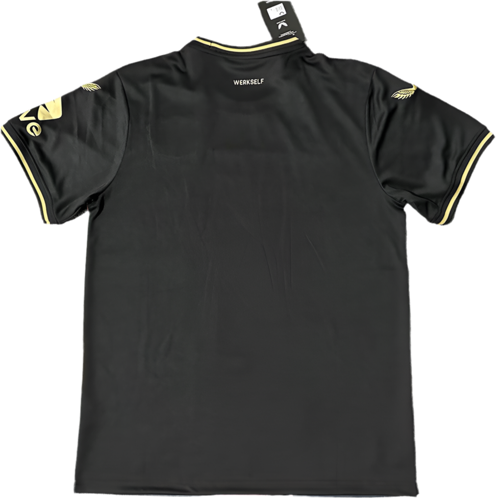 Bayer leverkussen 24/25